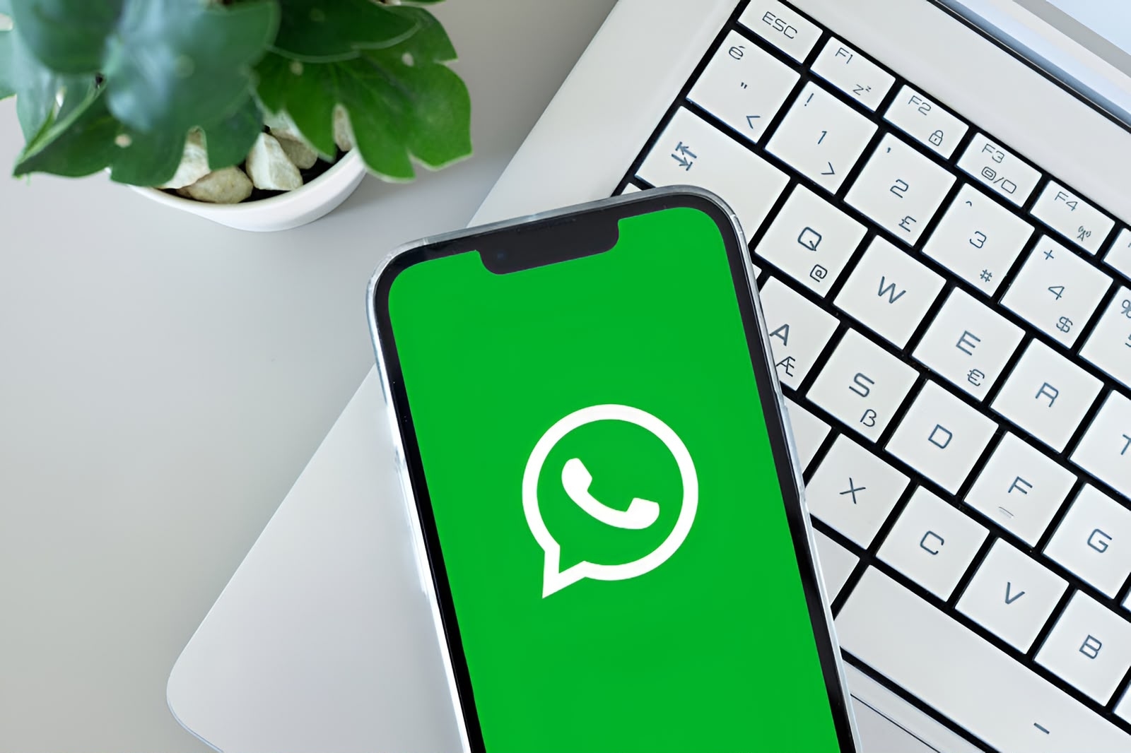Begini Cara Menghentikan WhatsApp Menyimpan Foto Otomatis ke Galeri