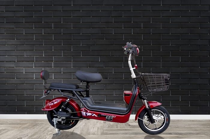 Buruan Borong, Inilah Deretan Sepeda Listrik Terbaik Yang Beredar di Pasaran Dibanderol RP 1 jutaan