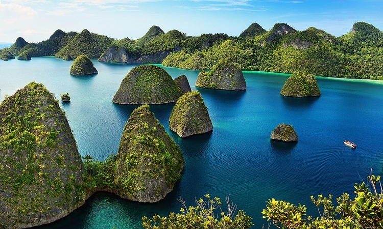 Jangan Lewatkan! 5 Alasan Mengapa Paket Wisata Raja Ampat Ini Paling Dicari
