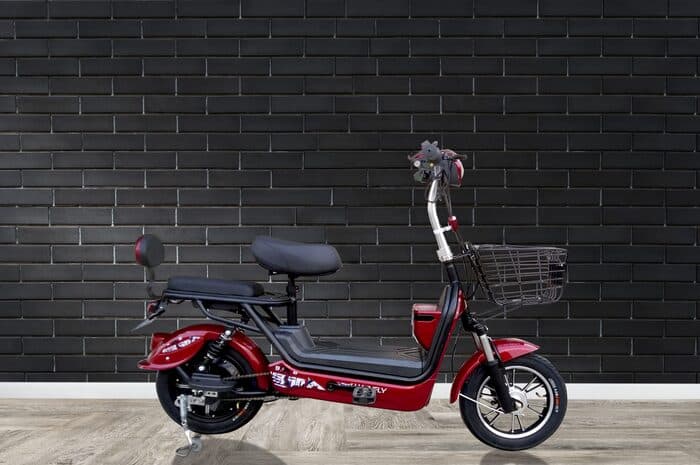 Buruan Borong, Inilah Deretan Sepeda Listrik Terbaik Yang Beredar di Pasaran Dibanderol RP 1 jutaan