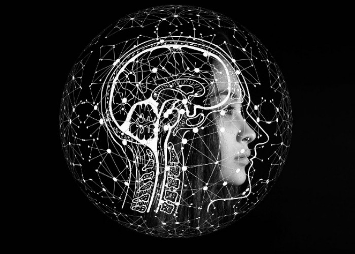 Persaingan OpenAI dan Anthropic Kini Masuk Dunia Siber