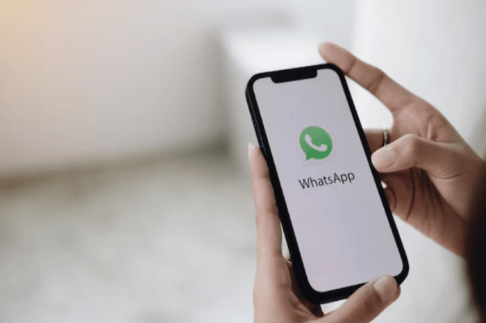 Cara Melihat Status WhatsApp yang di Privasi Dengan Aplikasi dan Tanpa Aplikasi