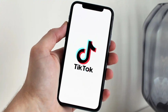 Cara Download Video Tiktok Tanpa Watermark di Android & iOS