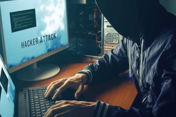 Apa Itu Serangan DDoS, yang Membuat Lumpuh Server Internet dan Bagaimana Cara Mengatasinya