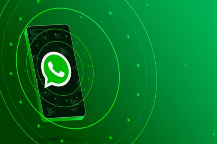 Fitur Passkey WhatsApp Meluncur di iOS: Meningkatkan Keamanan Pesan
