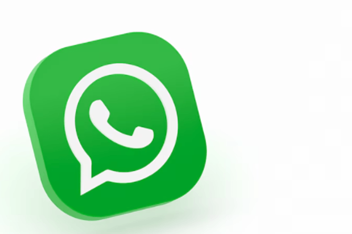 Cara Mudah Mendapatkan Centang Hijau di WhatsApp, Panduan Lengkap dan Syarat-Syaratnya