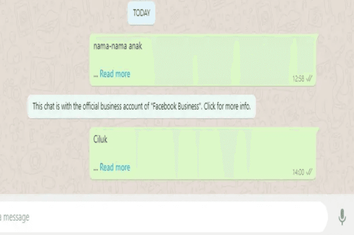 Trik Sederhana, Cara Membuat Tulisan 'Baca Selengkapnya' di WhatsApp