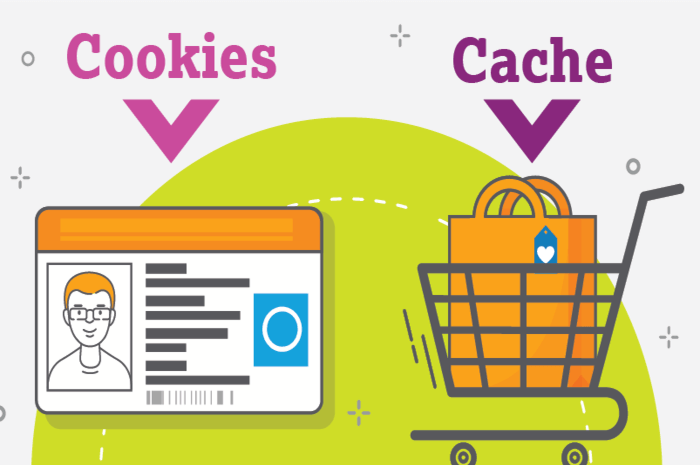 Cache vs Cookie, Mengungkap Perbedaan dan Fungsi Keduanya dalam Browser Internet
